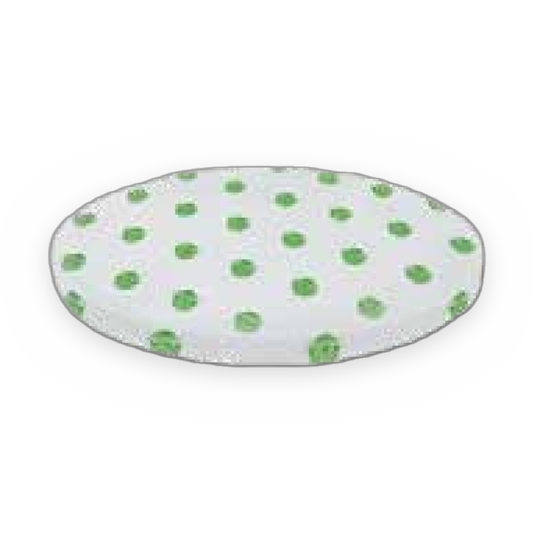 HEPA drum filter S100